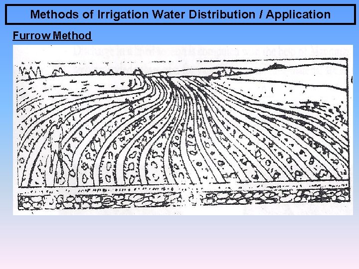 Methods of Irrigation Water Distribution / Application Furrow Method 4 