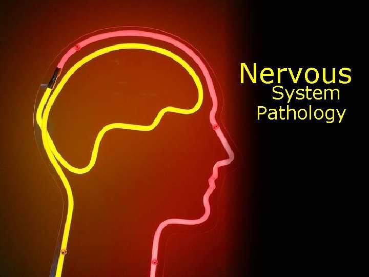 Nervous System Pathology 