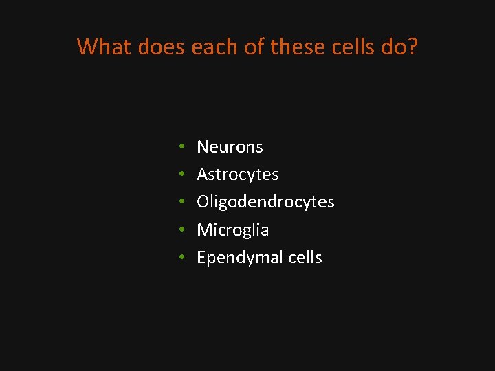 What does each of these cells do? • • • Neurons Astrocytes Oligodendrocytes Microglia