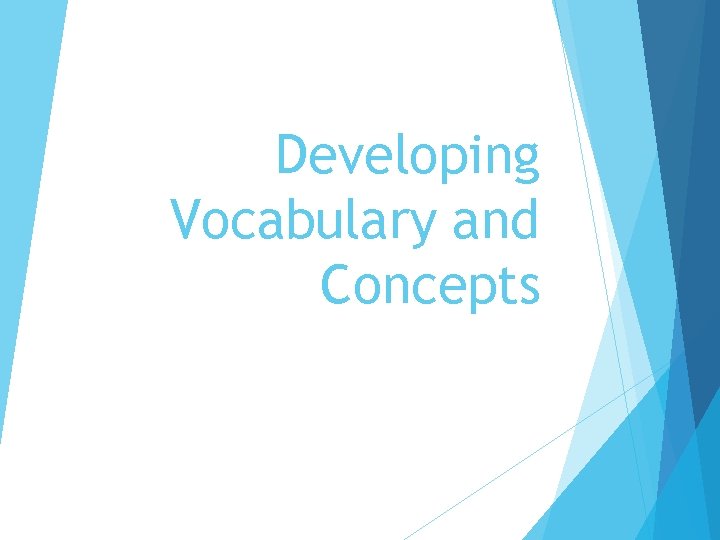 Developing Vocabulary and Concepts 