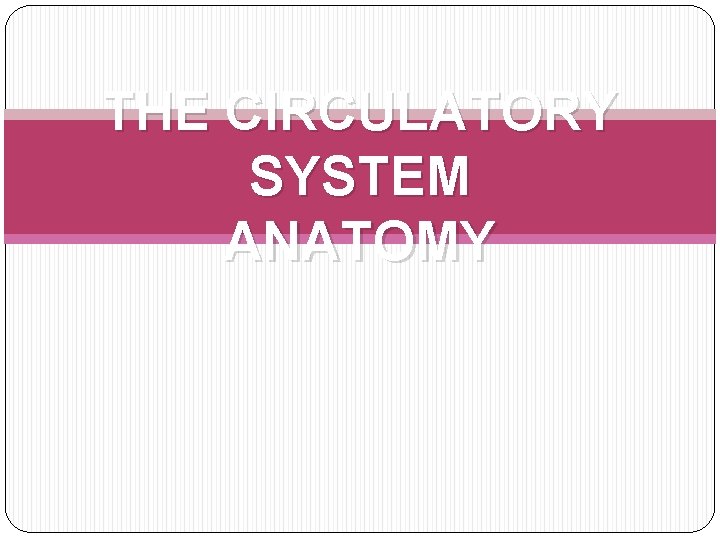 THE CIRCULATORY SYSTEM ANATOMY 