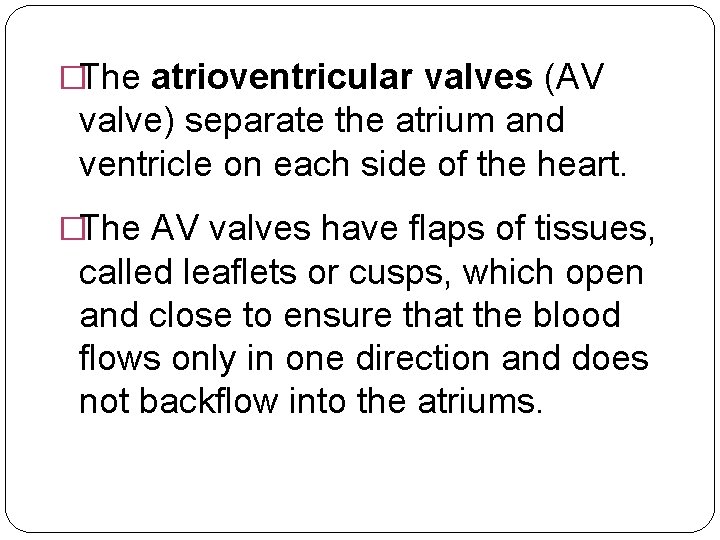 �The atrioventricular valves (AV valve) separate the atrium and ventricle on each side of