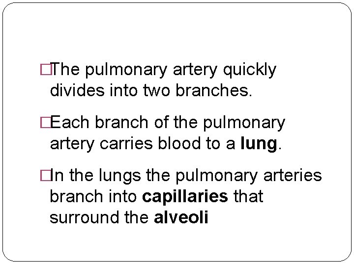 �The pulmonary artery quickly divides into two branches. �Each branch of the pulmonary artery