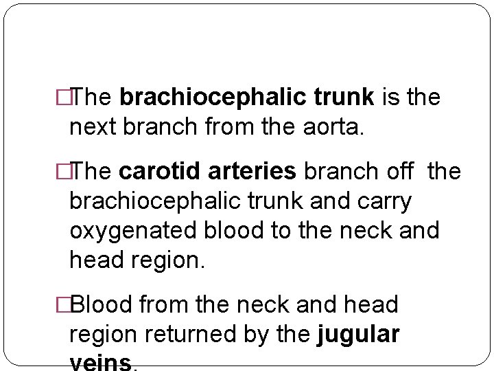 �The brachiocephalic trunk is the next branch from the aorta. �The carotid arteries branch