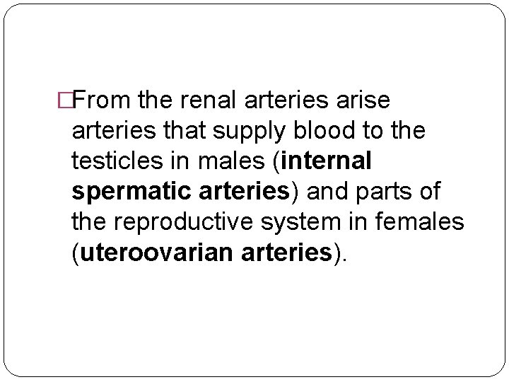 �From the renal arteries arise arteries that supply blood to the testicles in males