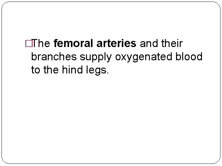 �The femoral arteries and their branches supply oxygenated blood to the hind legs. 
