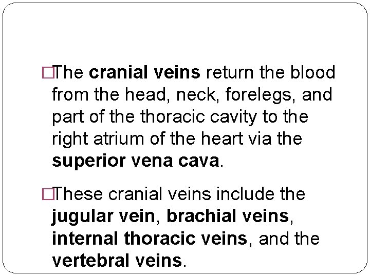 �The cranial veins return the blood from the head, neck, forelegs, and part of
