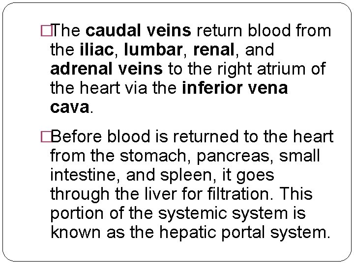 �The caudal veins return blood from the iliac, lumbar, renal, and adrenal veins to