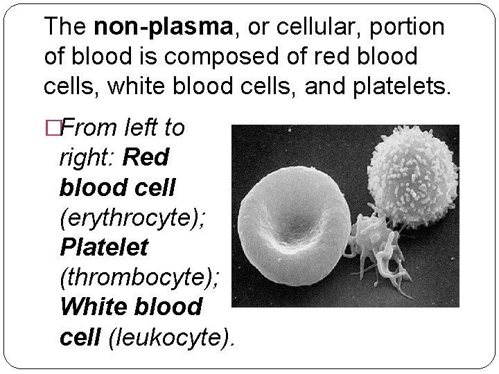 The non-plasma, or cellular, portion of blood is composed of red blood cells, white