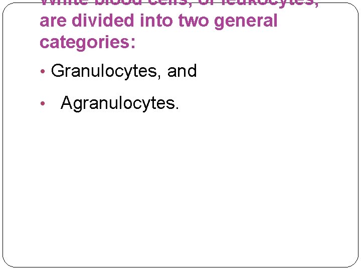 White blood cells, or leukocytes, are divided into two general categories: • Granulocytes, and
