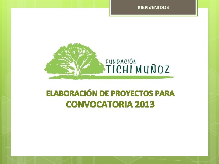 BIENVENIDOS ELABORACIÓN DE PROYECTOS PARA CONVOCATORIA 2013 