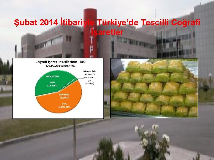 Şubat 2014 İtibariyle Türkiye’de Tescilli Coğrafi İşaretler 