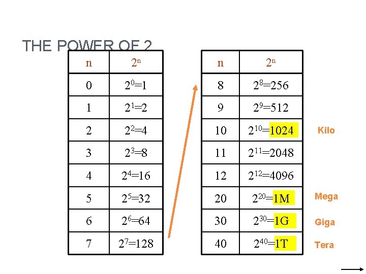 THE POWER OF 2 n 2 n 0 20=1 8 28=256 1 21=2 9