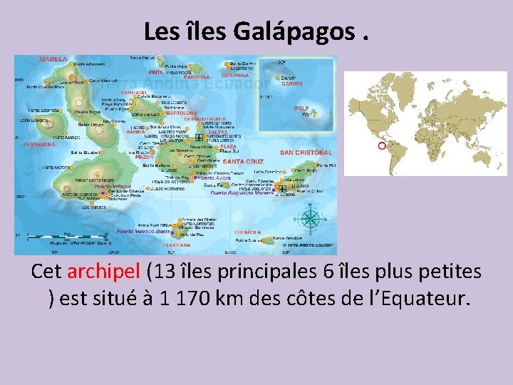 Les îles Galápagos. Cet archipel (13 îles principales 6 îles plus petites ) est