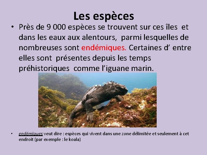 Les espèces • Près de 9 000 espèces se trouvent sur ces îles et