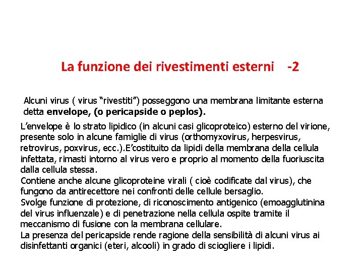 La funzione dei rivestimenti esterni -2 Alcuni virus ( virus “rivestiti”) posseggono una membrana