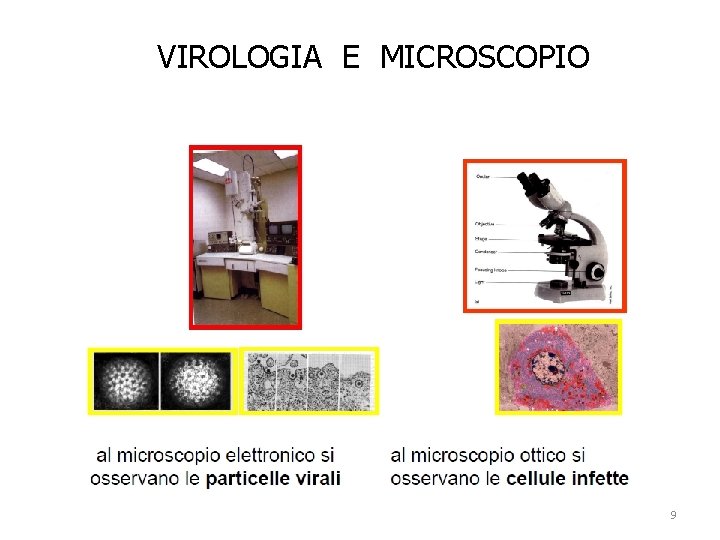 VIROLOGIA E MICROSCOPIO 9 