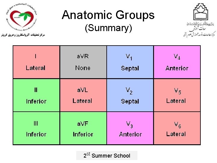 Anatomic Groups (Summary) 2 st Summer School 