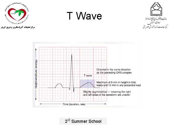 T Wave 2 st Summer School 