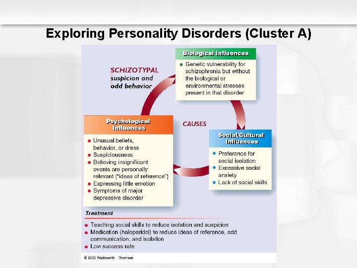 Exploring Personality Disorders (Cluster A) 