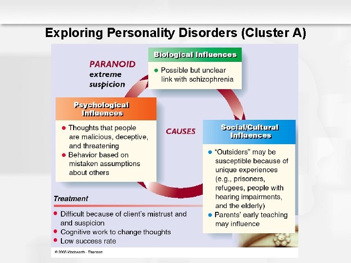 Exploring Personality Disorders (Cluster A) 