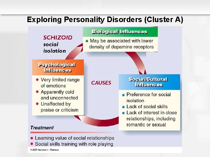 Exploring Personality Disorders (Cluster A) 