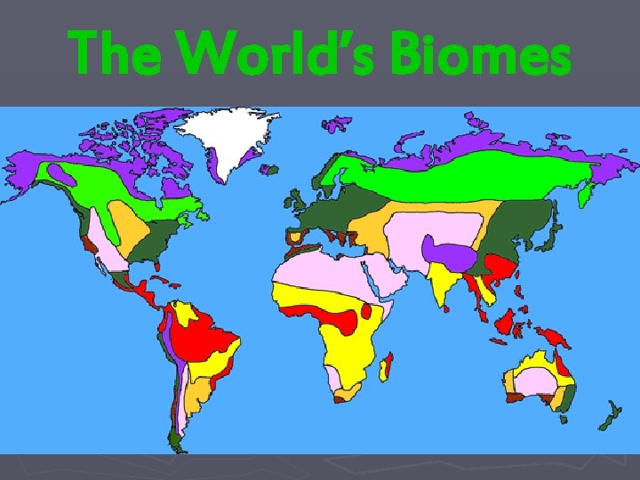 The World’s Biomes 