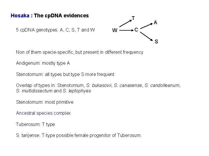 Hosaka : The cp. DNA evidences 5 cp. DNA genotypes: A, C, S, T