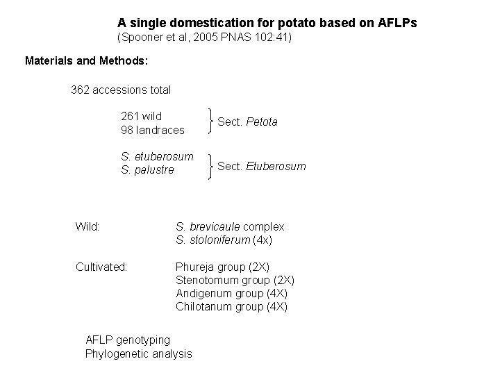 A single domestication for potato based on AFLPs (Spooner et al, 2005 PNAS 102: