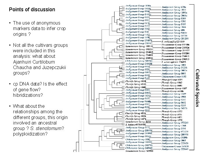 Points of discussion • The use of anonymous markers data to infer crop origins