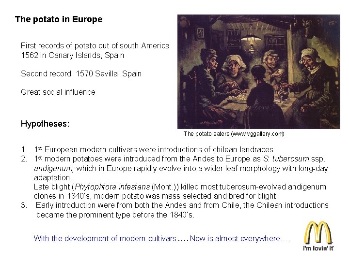 The potato in Europe First records of potato out of south America 1562 in