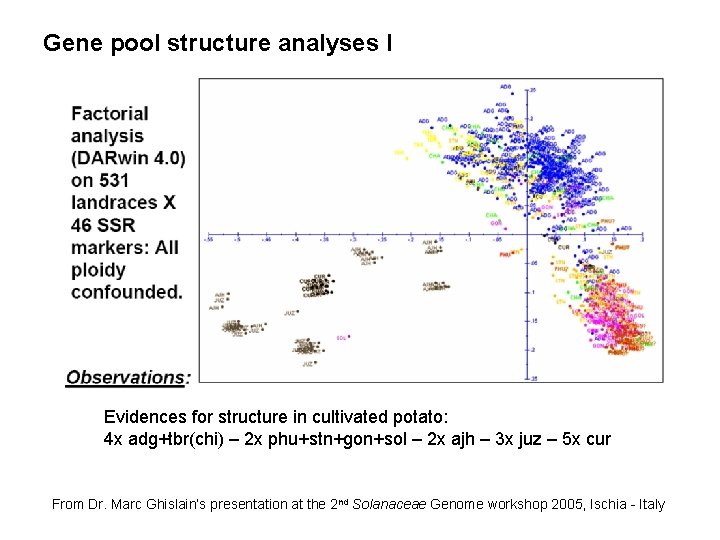 Gene pool structure analyses I Evidences for structure in cultivated potato: 4 x adg+tbr(chi)