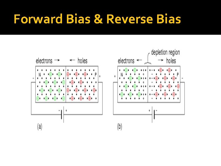 Forward Bias & Reverse Bias 