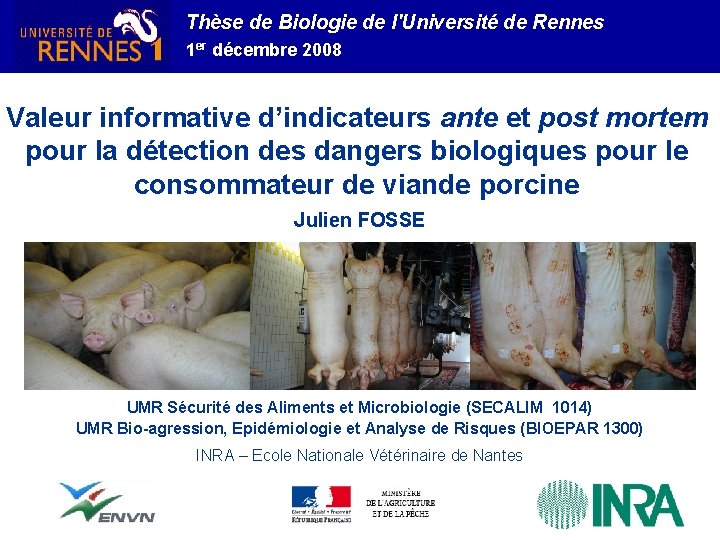 Thèse de Biologie de l'Université de Rennes 1 er décembre 2008 Valeur informative d’indicateurs