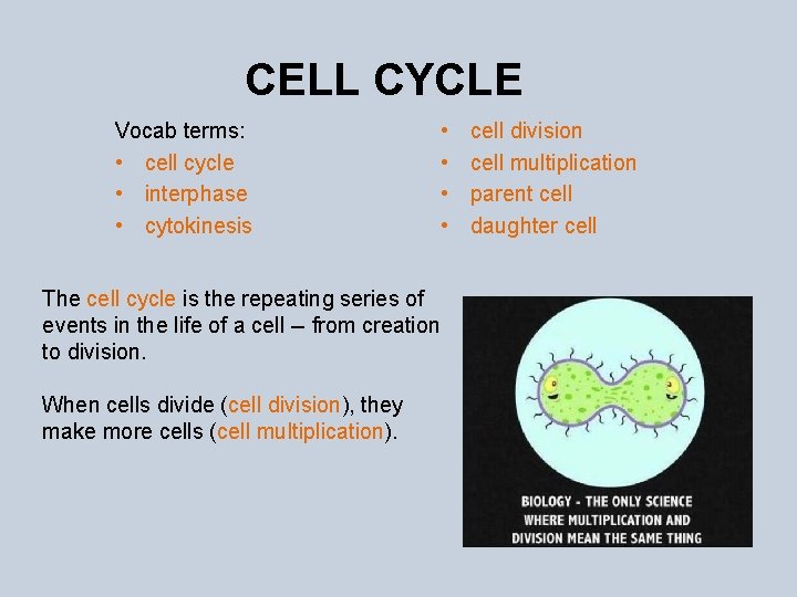 CELL CYCLE Vocab terms: • cell cycle • interphase • cytokinesis • • The