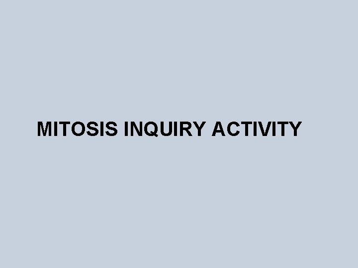 MITOSIS INQUIRY ACTIVITY 