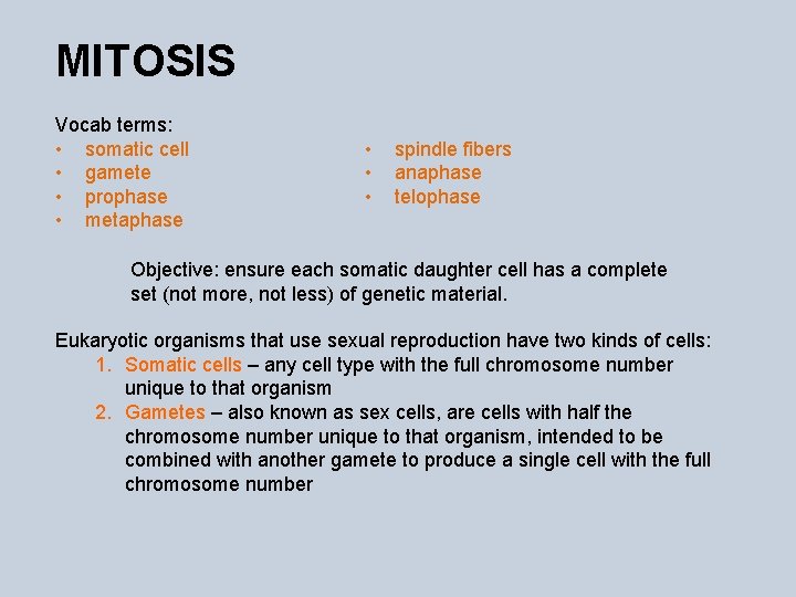 MITOSIS Vocab terms: • somatic cell • gamete • prophase • metaphase • •