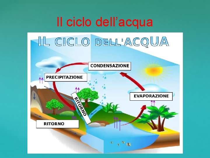 Il ciclo dell’acqua 