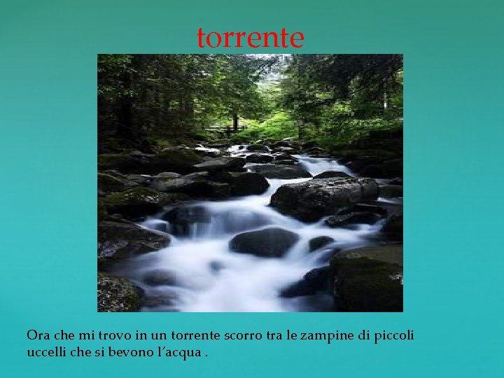 torrente Ora che mi trovo in un torrente scorro tra le zampine di piccoli