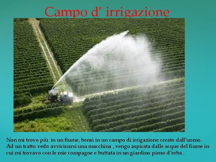 Campo d’ irrigazione Non mi trovo più in un fiume, bensì in un campo