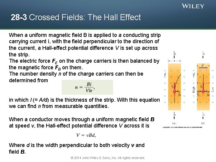 28 -3 Crossed Fields: The Hall Effect When a uniform magnetic field B is