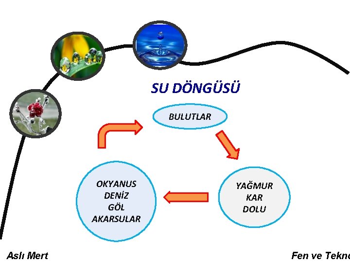 SU DÖNGÜSÜ BULUTLAR OKYANUS DENİZ GÖL AKARSULAR Aslı Mert YAĞMUR KAR DOLU Fen ve