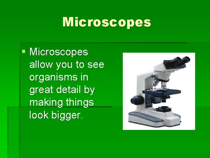 Microscopes § Microscopes allow you to see organisms in great detail by making things