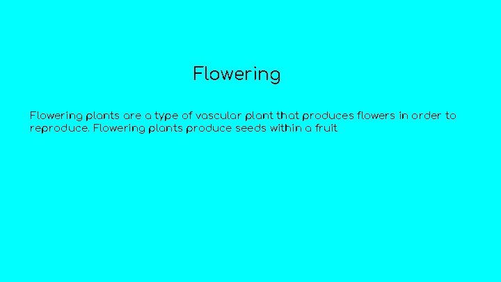 Flowering plants are a type of vascular plant that produces flowers in order to