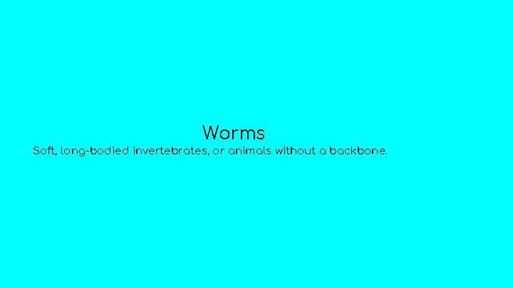 Worms Soft, long-bodied invertebrates, or animals without a backbone. 