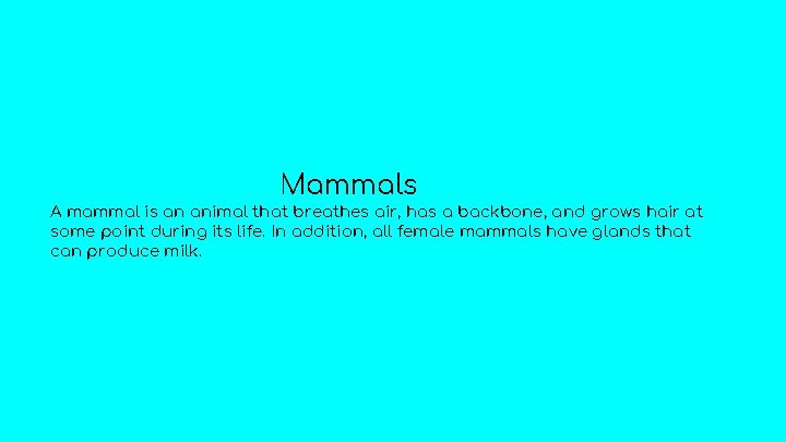 Mammals A mammal is an animal that breathes air, has a backbone, and grows