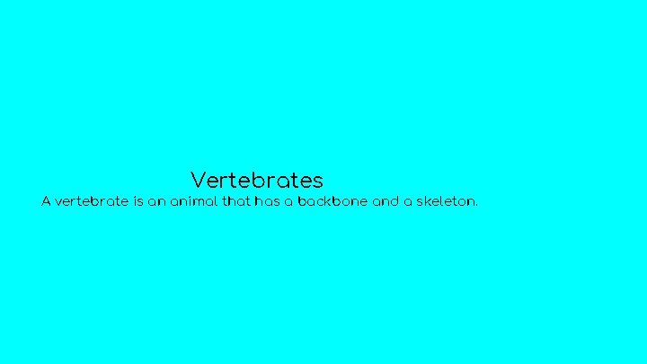 Vertebrates A vertebrate is an animal that has a backbone and a skeleton. 