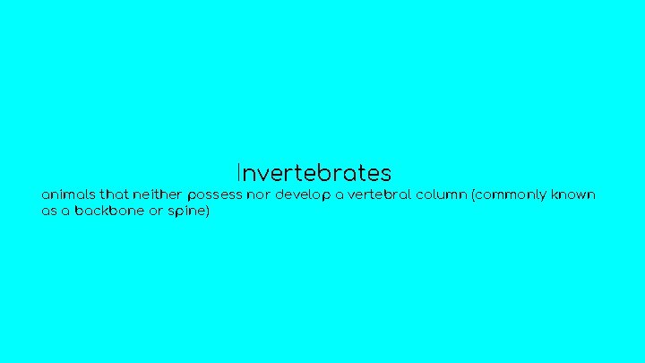Invertebrates animals that neither possess nor develop a vertebral column (commonly known as a