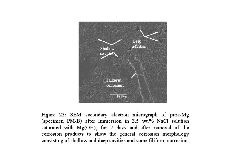 Shallow cavities Deep cavities Filiform corrosion Figure 23: SEM secondary electron micrograph of pure-Mg