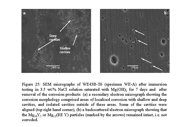 a b Deep cavities Shallow cavities Figure 25: SEM micrographs of WE 43 B-T